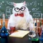 white cat with glasses