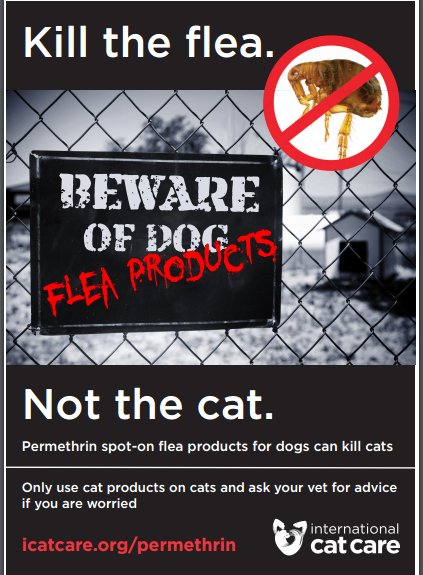 Do NOT use dog flea products on cats.